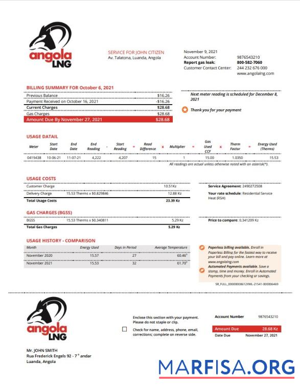 Printable Angola LNG proof of address utility bill template in Word and PDF format